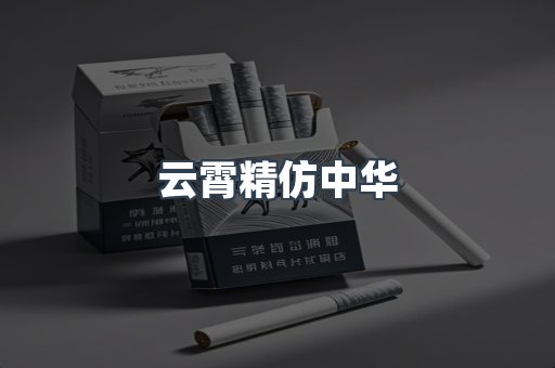 云霄精仿中华